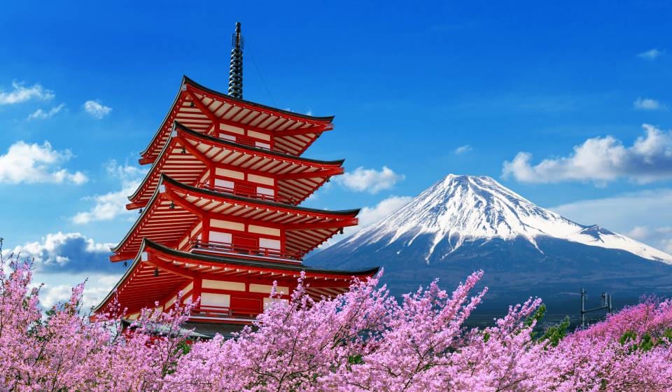 Sakura