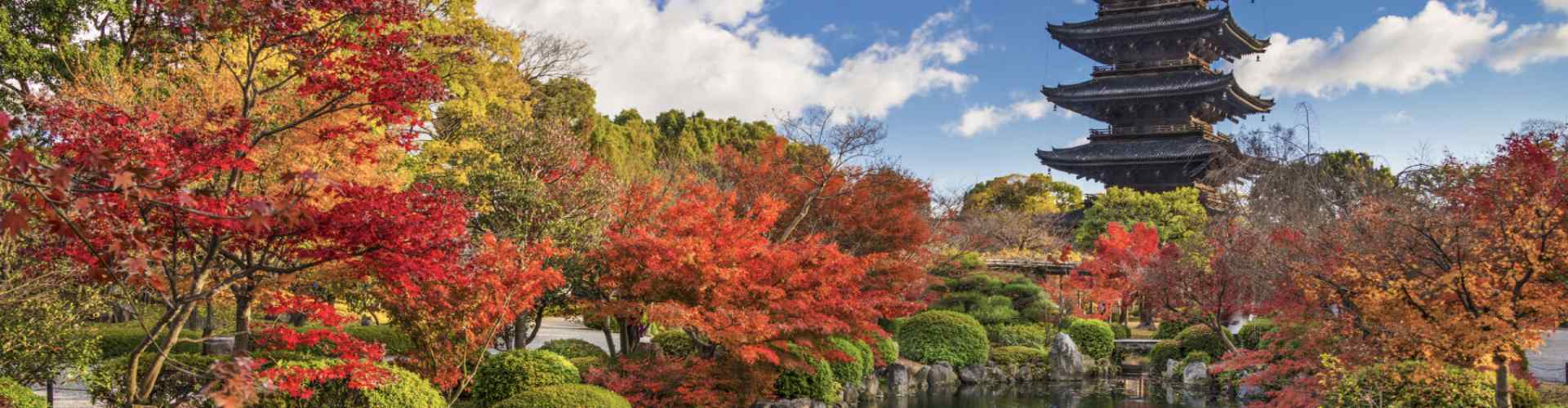 autumn japan