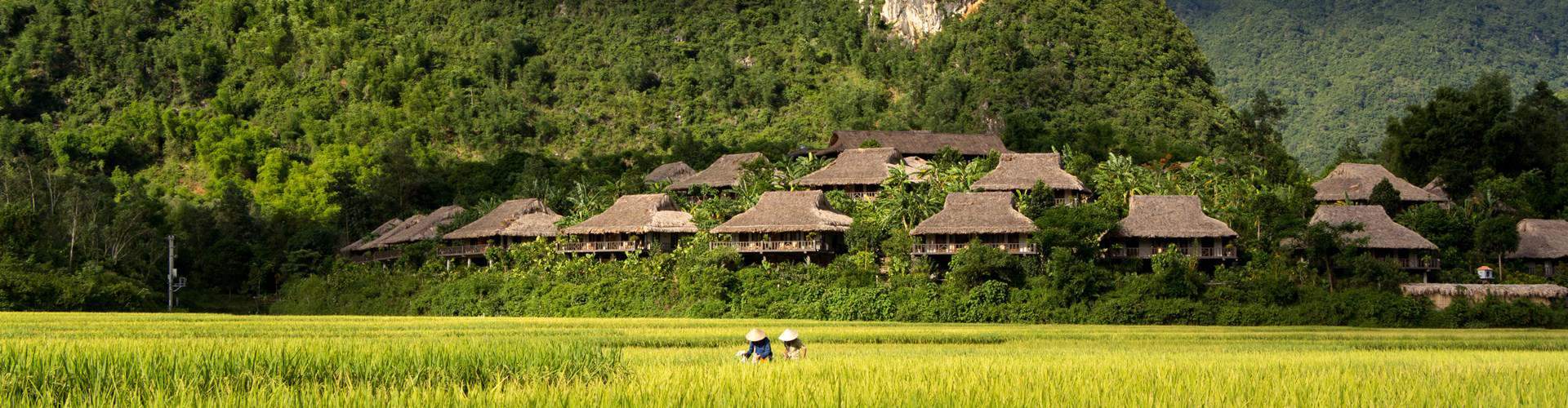 Mai Chau