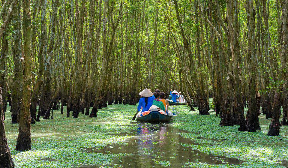 3 Ways to Preserve the Natural Wonders of the Mekong