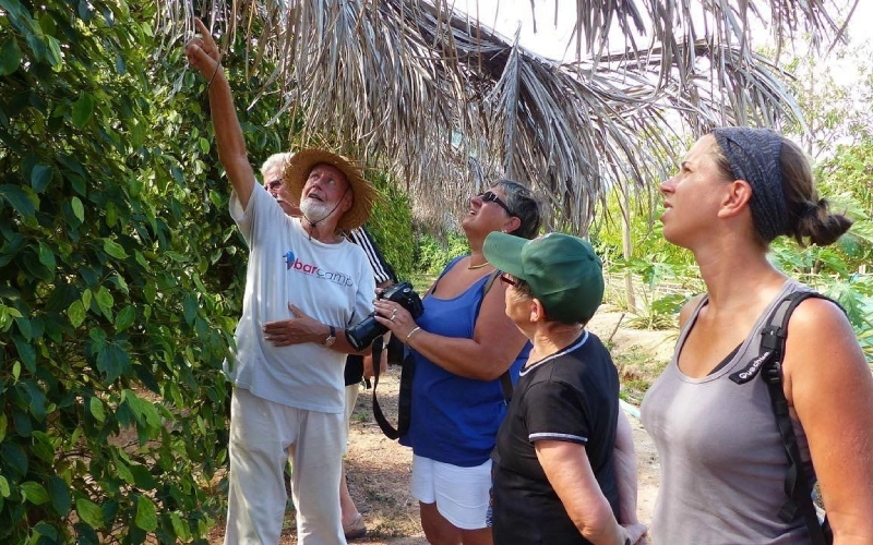 Sothy’s cultiva pimenta entre Kep e Kampot