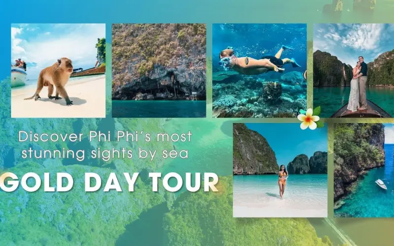 Viva o tour completo com o Gold Day Tour