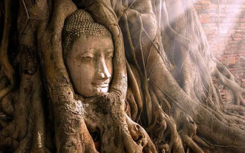 Wat Phra Mahathat une natureza e história de Ayutthaya