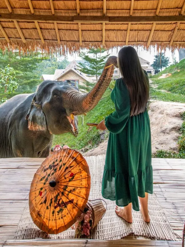 Chiang Mai: experiências éticas com elefantes