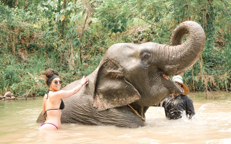 Em Krabi viva experiências éticas com elefantes