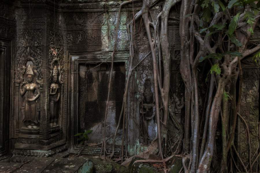 Apsara carvings - Ta Prohm Temple