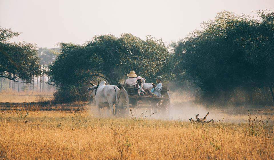 bagan cart