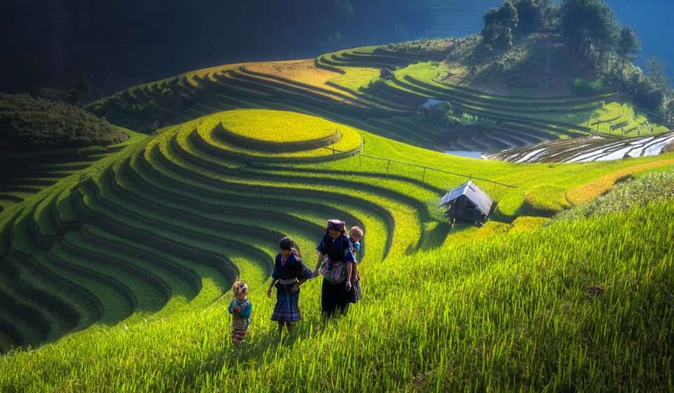 Family with terraced fields