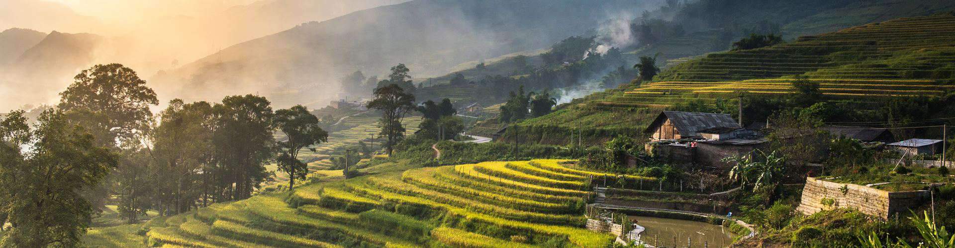 sapa rice fields