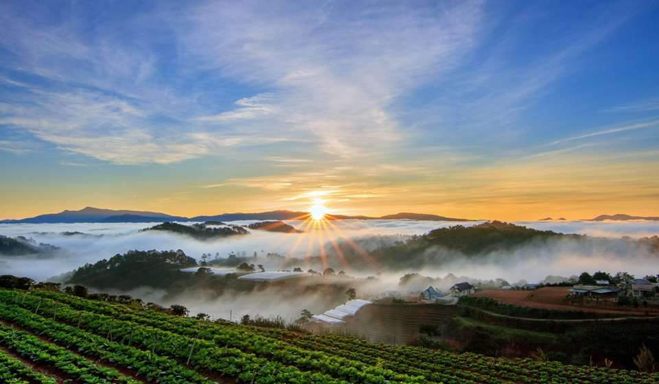 Da lat