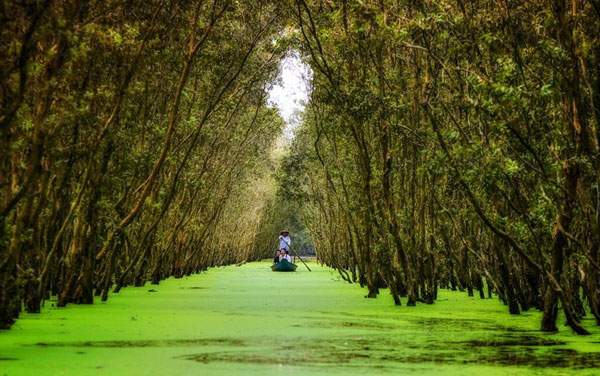 Mekong Delta