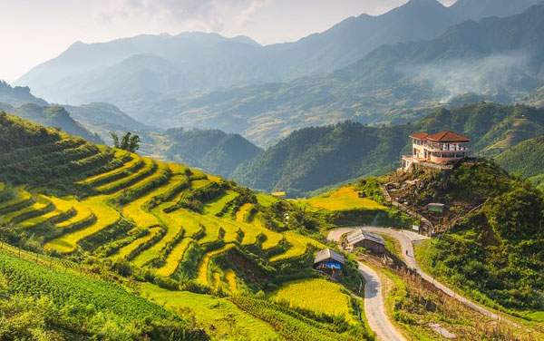 Sapa