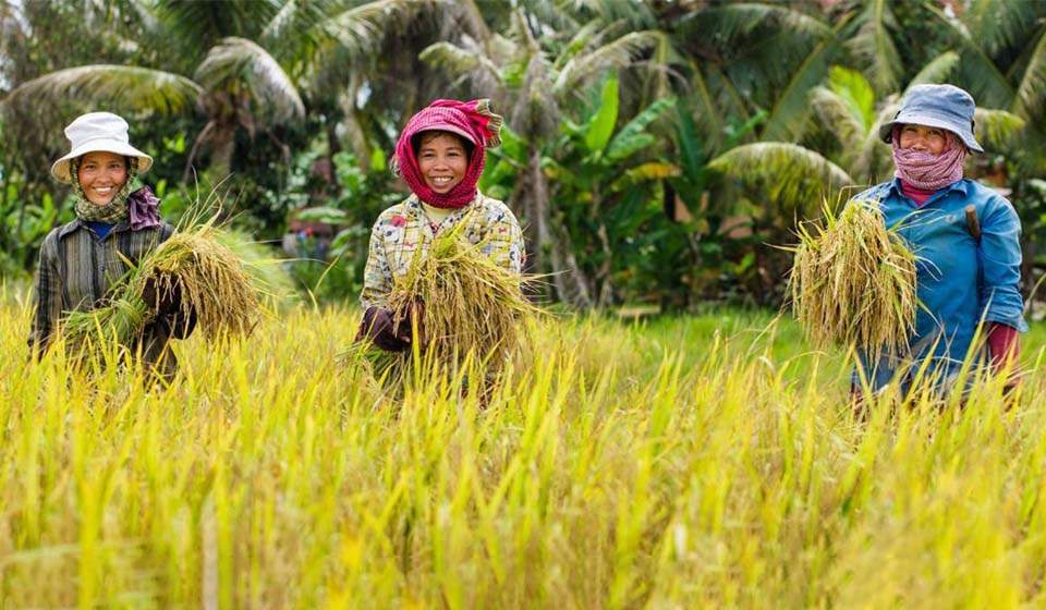 Vietnam Camboya travel