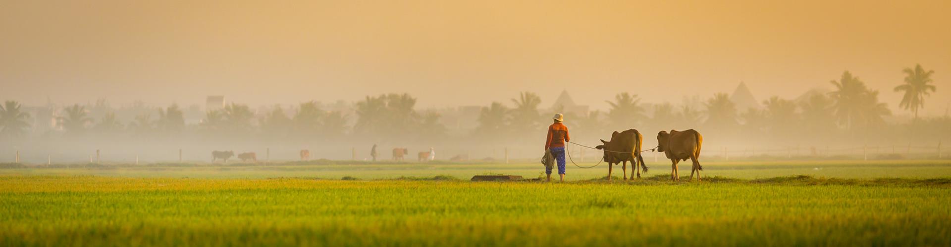 Vietnam countryside