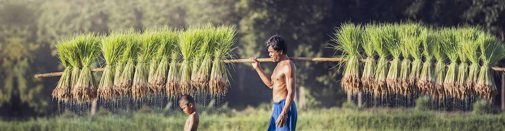 vietnam camboya