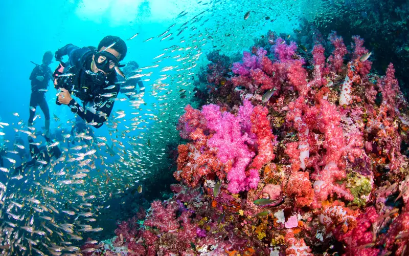 Richelieu Rock atrai cruzeiros com mergulho