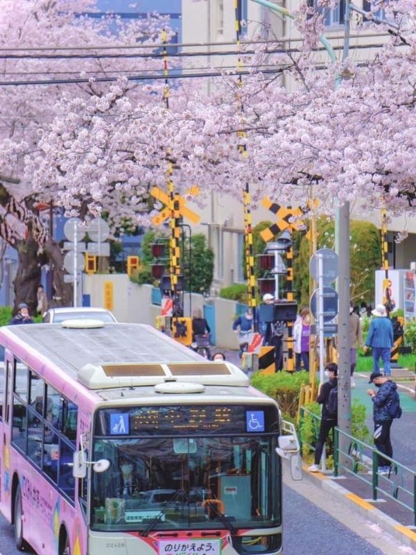 autobús urbano