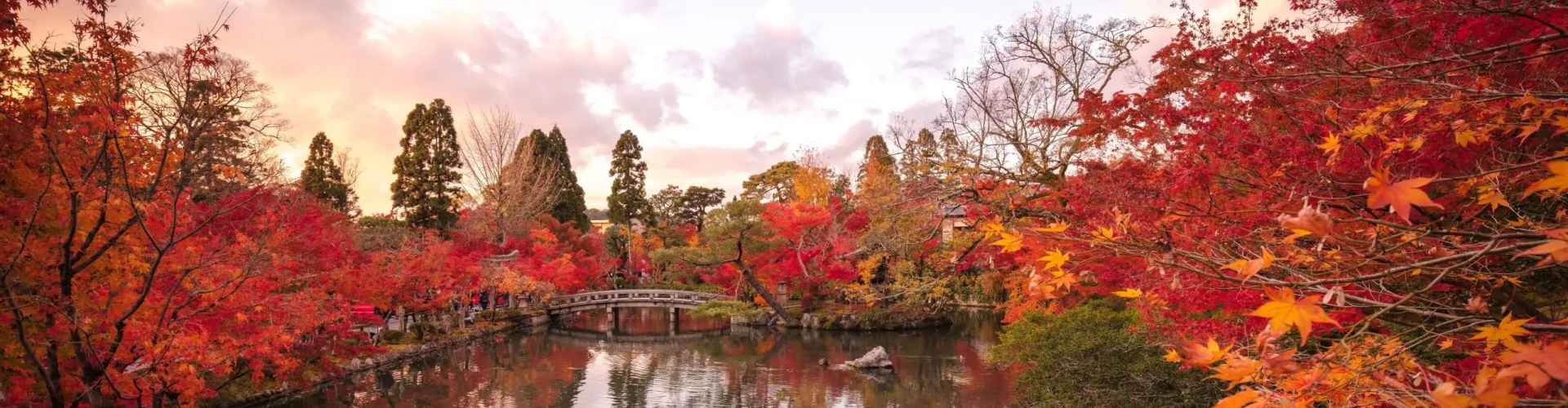 autumn japan