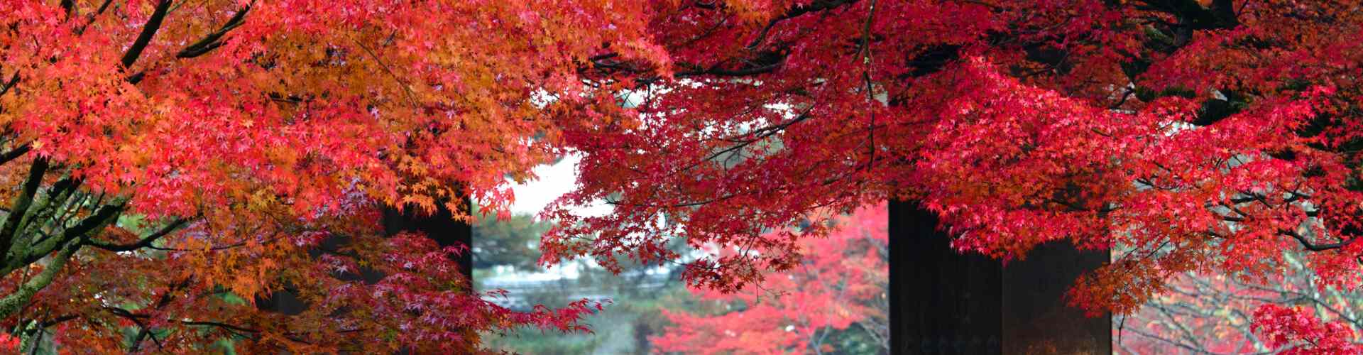 kyoto