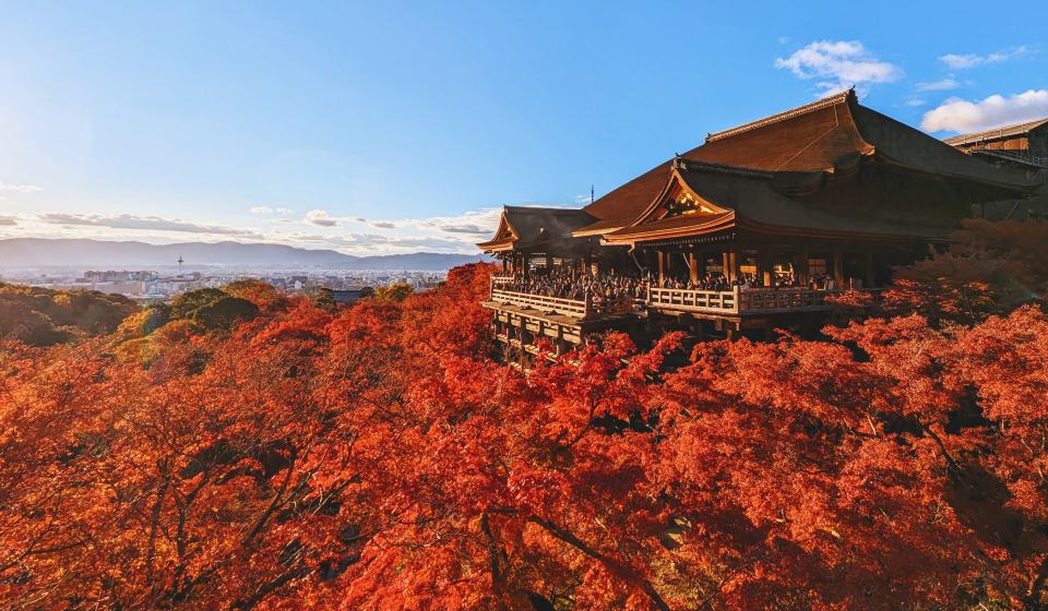 autumn japan