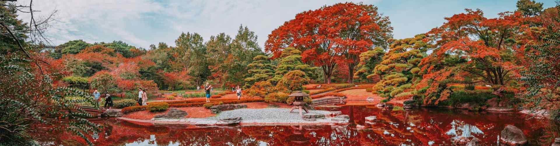 autumn japan