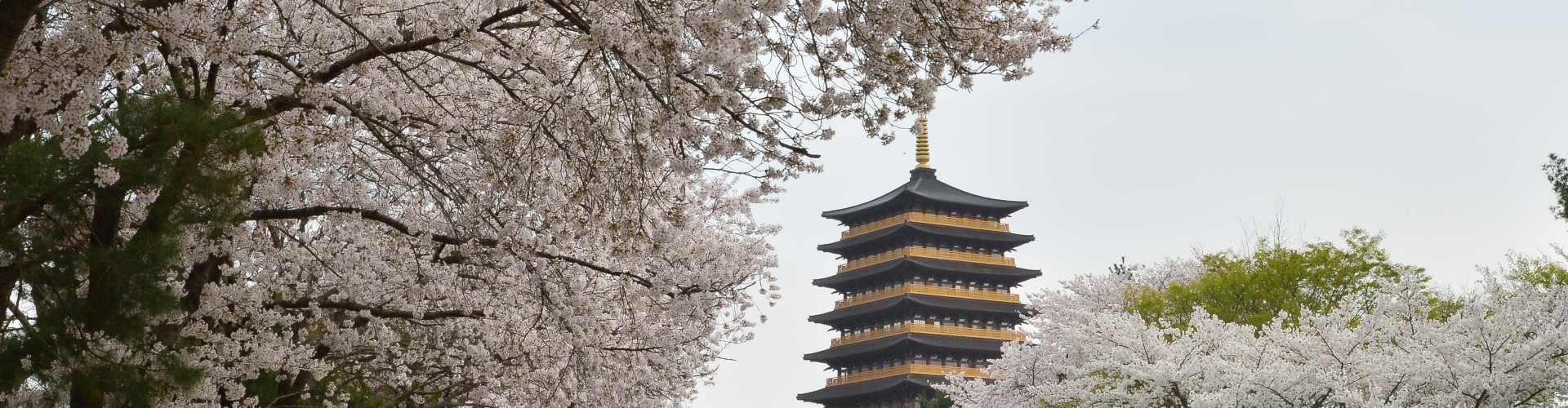 Gyeongju 1920x500