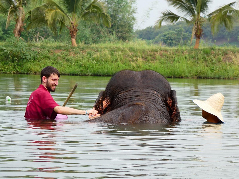 Os visitantes podem tomar banho de lama com os elefantes no parque, sob a supervisão daequipe.