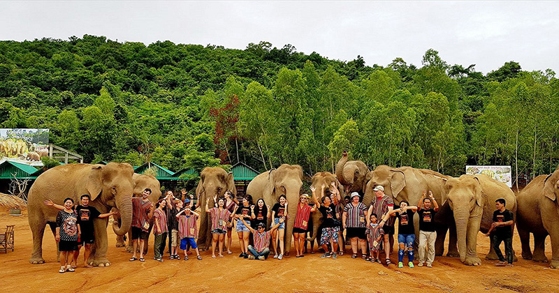 O Elephant Jungle Sanctuary permite que os visitantes interajam com os elefantes de forma ética.
