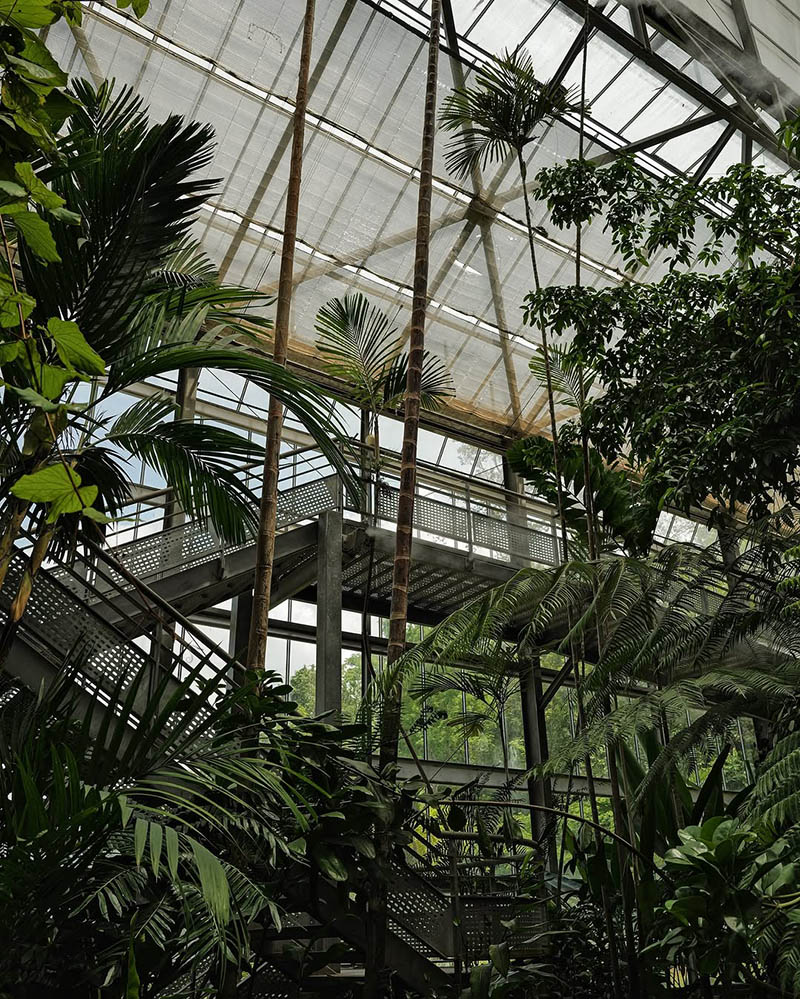 Sky Walk no Jardim Botânico Rainha Sirikit.