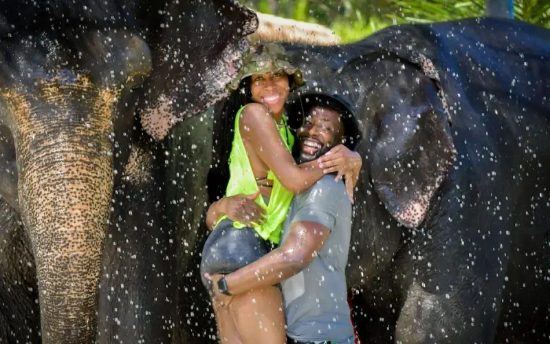 Registre momentos inesquecíveis para o Instagram no santuário de elefantes.