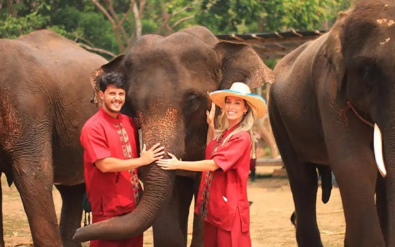 Os turistas têm uma experiência próxima com o elefante