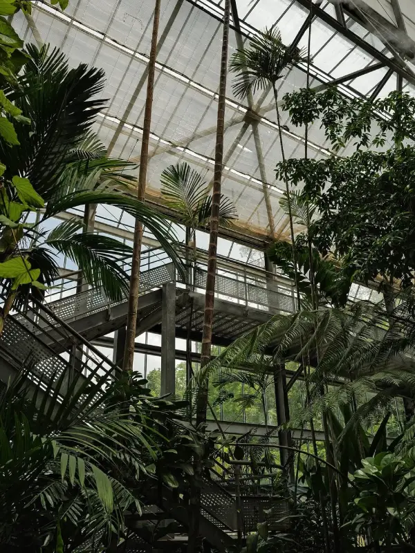 Sky Walk no Jardim Botânico Rainha Sirikit.