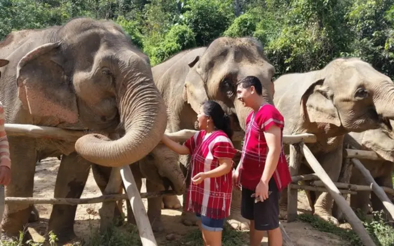 Changchill Elephant sanctuary