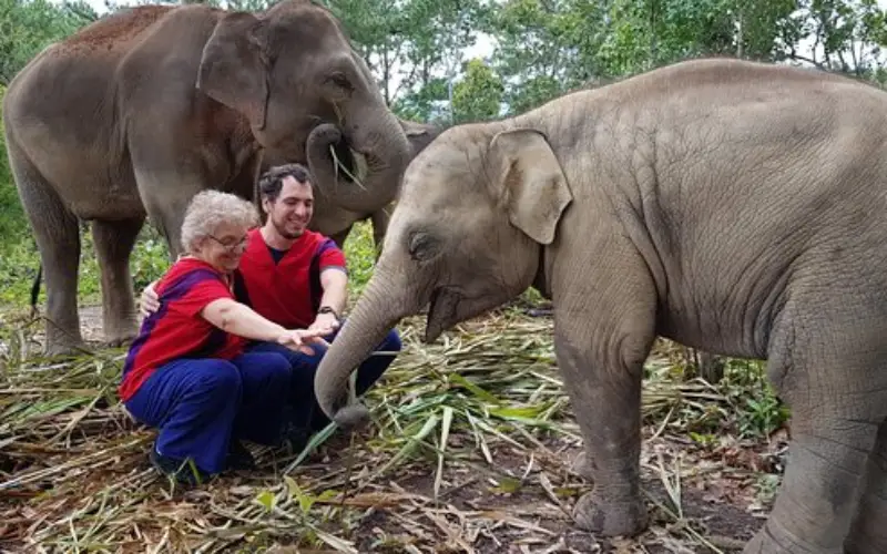 Turistas orientados pra visitar o santuário com segurança
