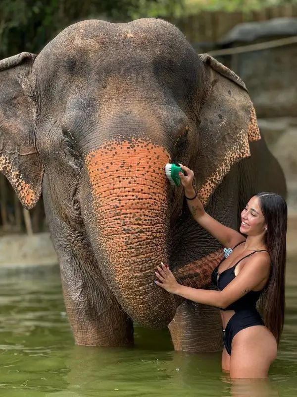 Banho de Lama com os Elefantes