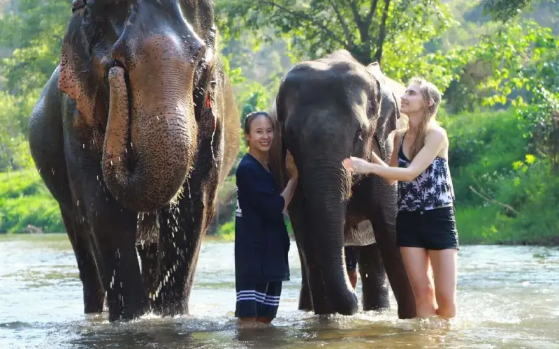 Escolha o Mundo Asia Tours para uma viagem significativa