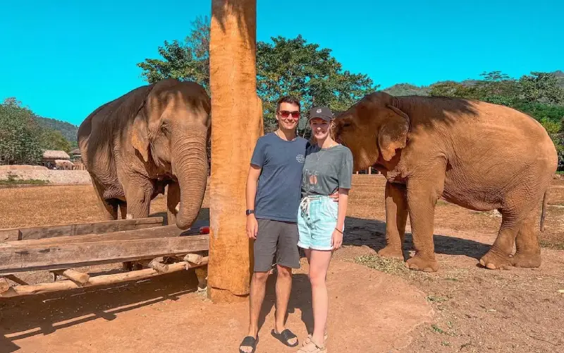 Os turistas estão animados tirando fotos com o grupo de elefantes