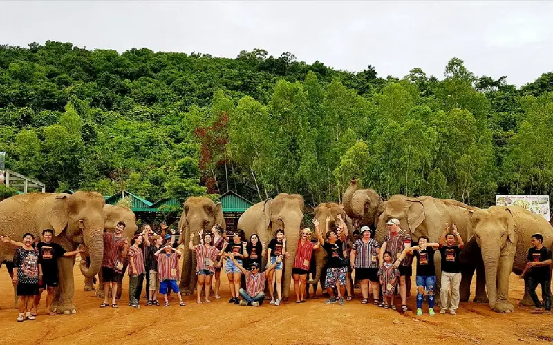Elephant Jungle Sanctuary Chiang Mai