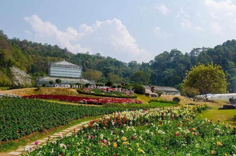 Queen Sirikit Botanical Garden oferece aos amantes da natureza uma vasta coleção de plantas exóticas.