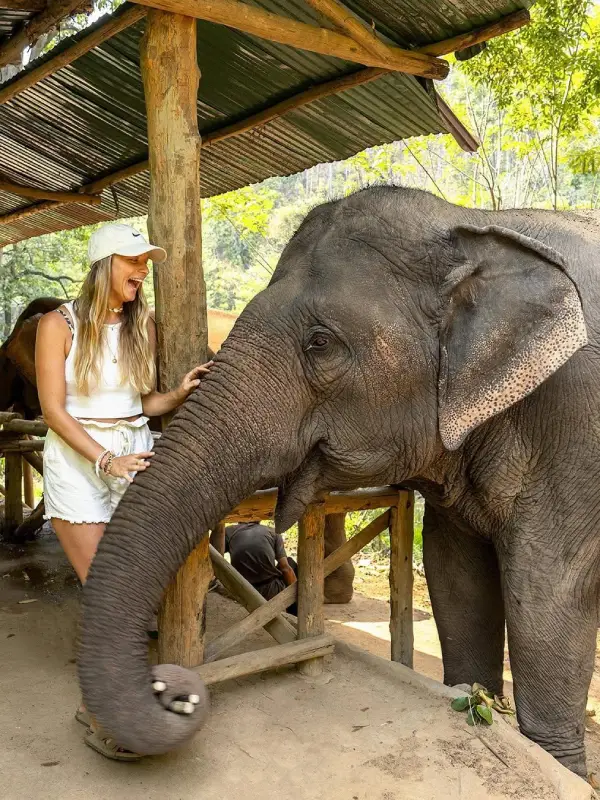 A experiência no Elephant Nature Park pode ser memorável (Credit: @ganzschoentutka)