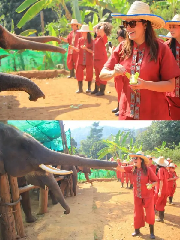 Clientes da Mundo Asia Tours em sua viagem Chiang Mai - Chiang Rai