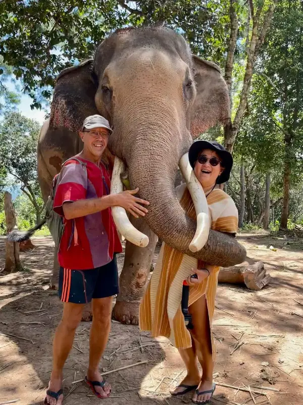 Elephant Freedom Village é um santuário em Chiang Mai dedicado ao cuidado ético dos elefantes.