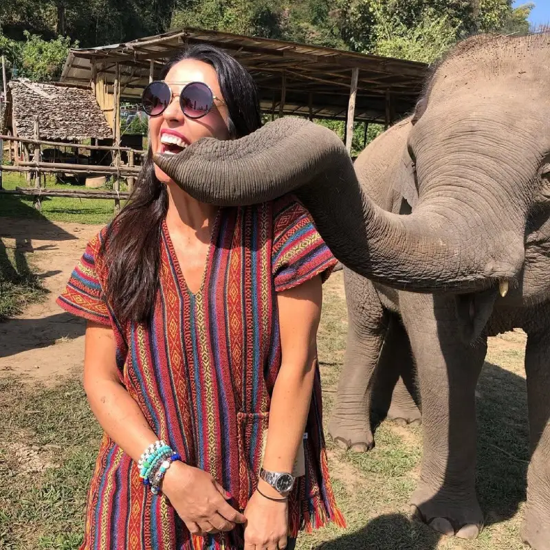 O Elephant Jungle Sanctuary oferece uma experiência ética em Chiang Mai.