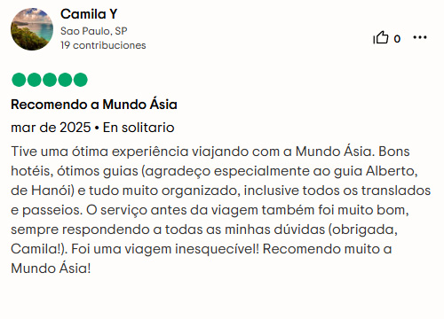 feedback 3