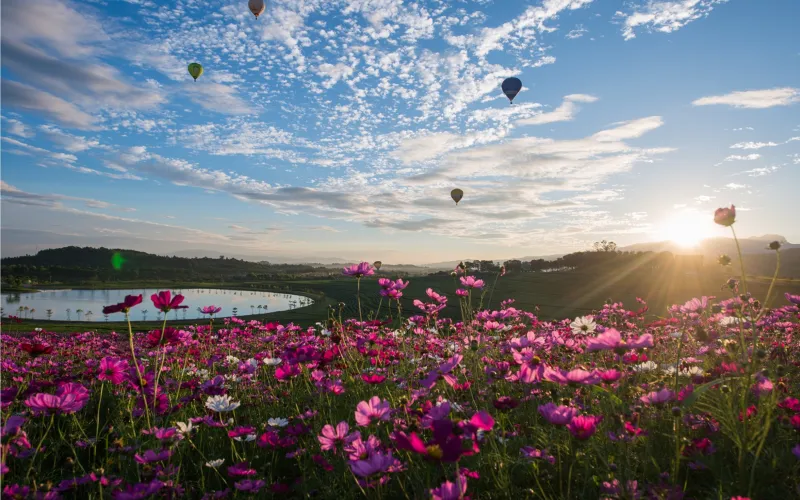 Do jardim, é possível admirar o nascer do sol e as colinas ao fundo