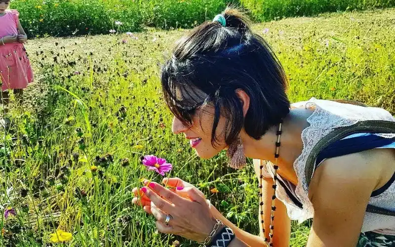 Capture foto perfeita nos jardins floridos ao sol