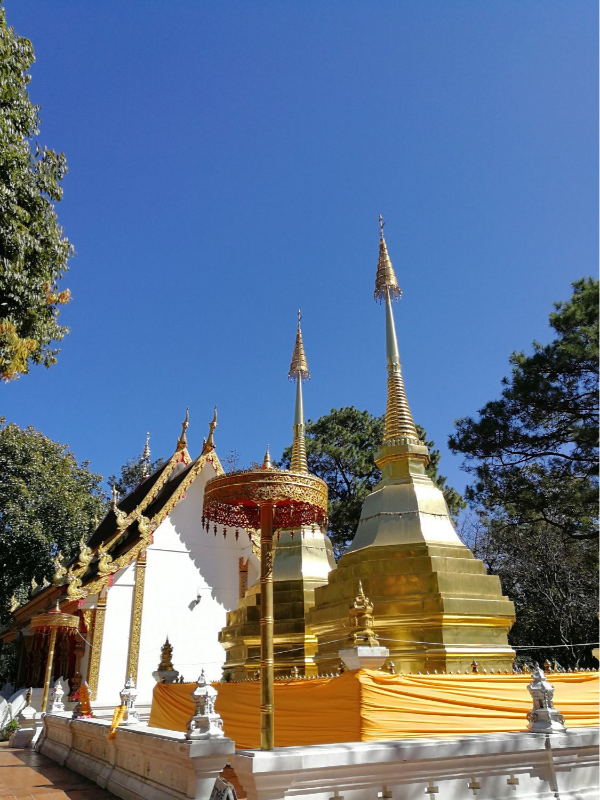stupas dourados do Wat Phra That Doi Tung