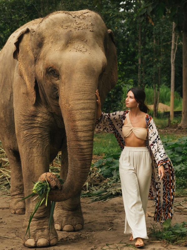 Visitar elefantes em Pattaya oferece uma experiência única com a vida selvagem