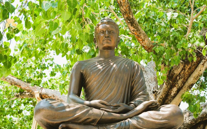 bodhi-tree-wat-benchamabophit-marble-temple-bangkok
