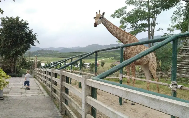 Crianças fascinadas com vida selvagem no parque